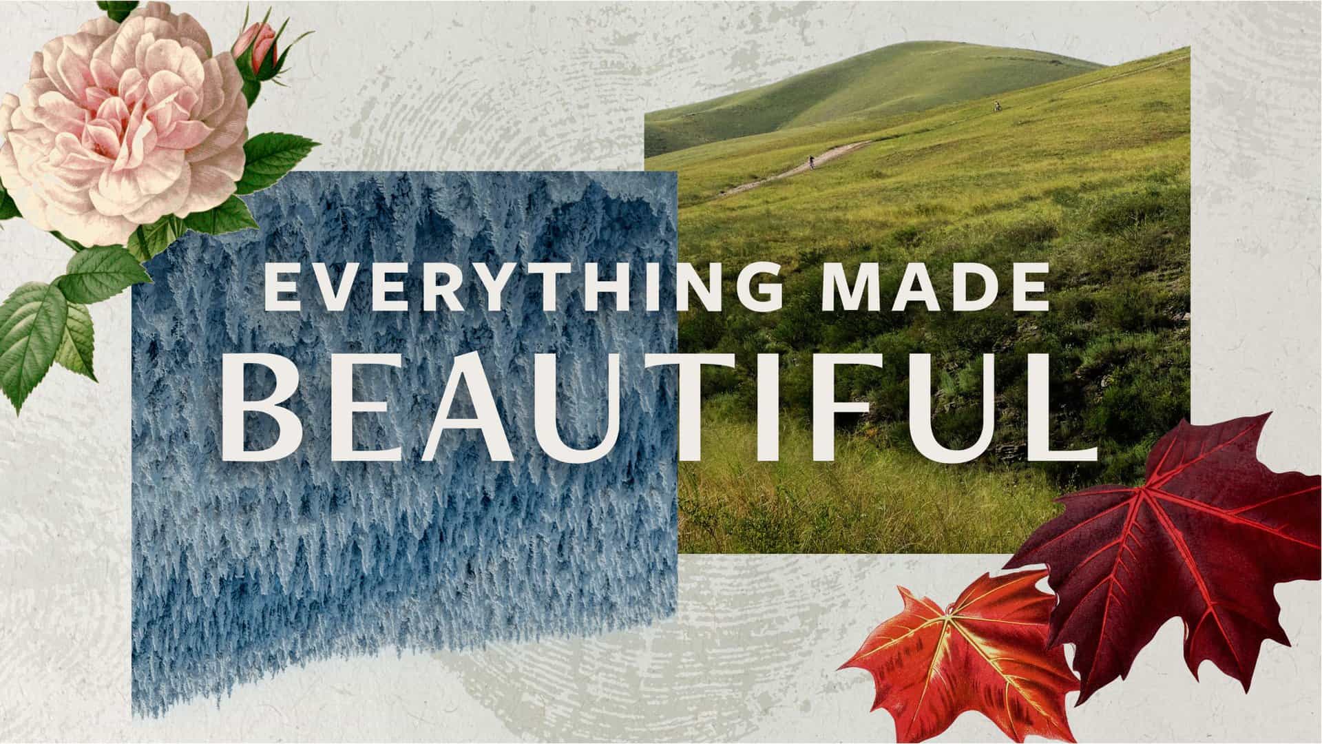Everything Made Beautiful