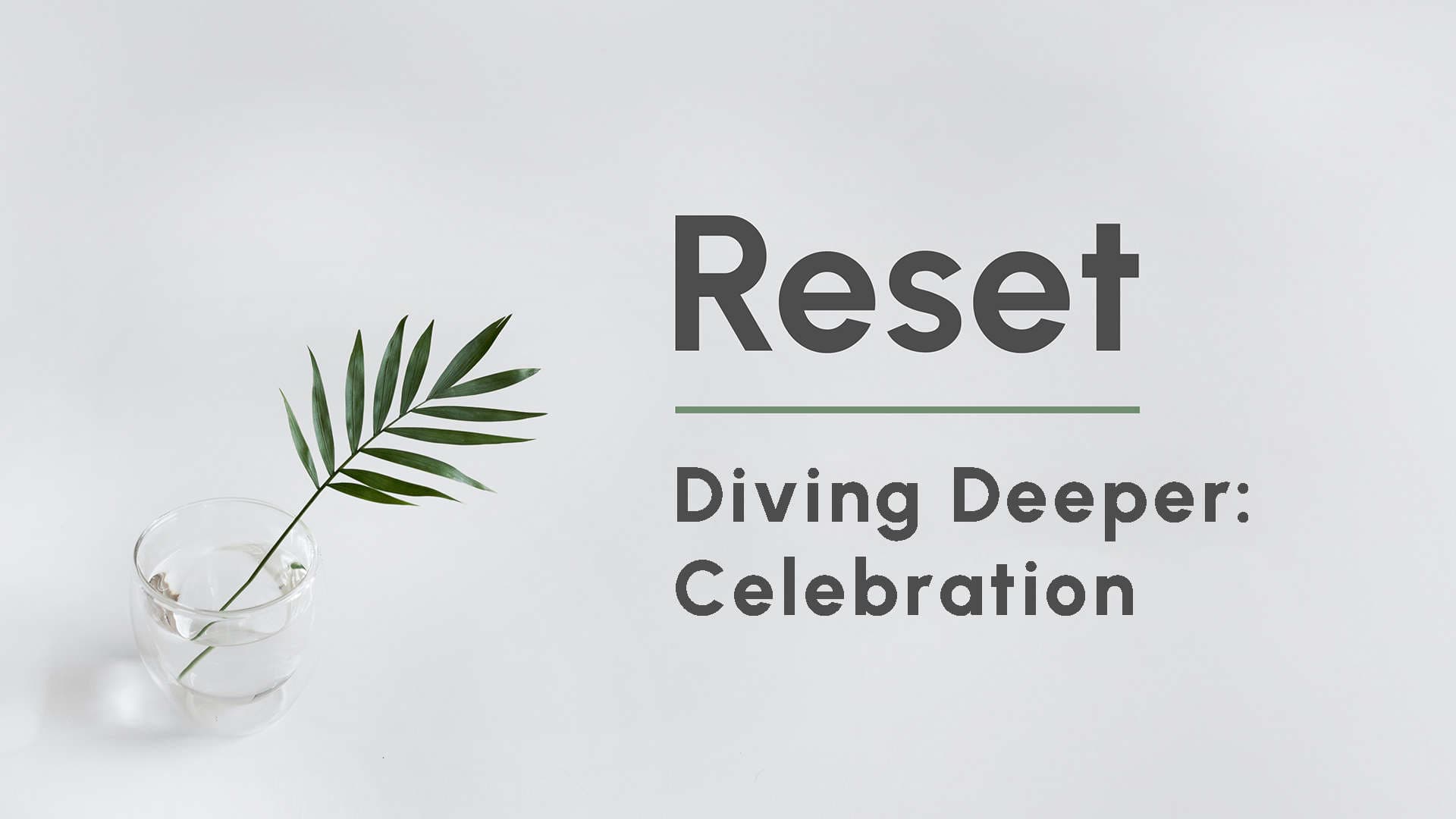 Diving Deeper | Celebration