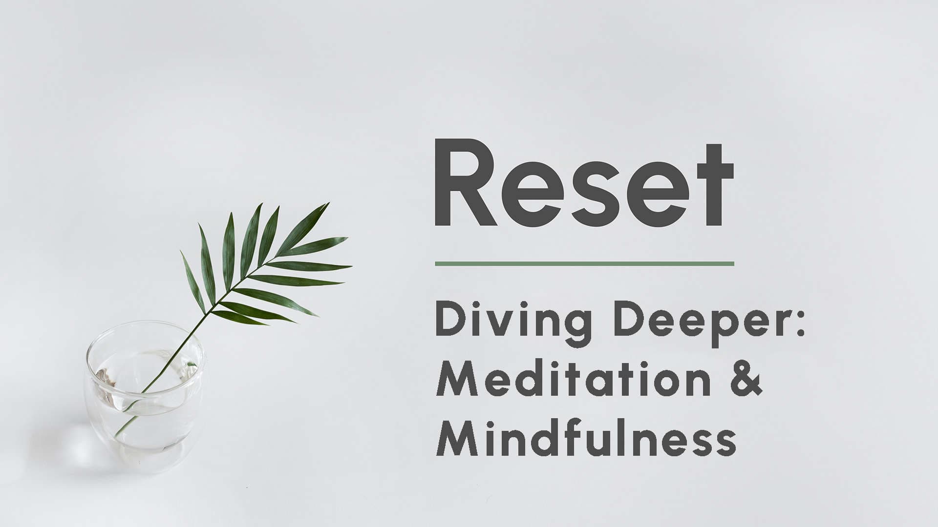 Diving Deeper | Meditation & Mindfulness