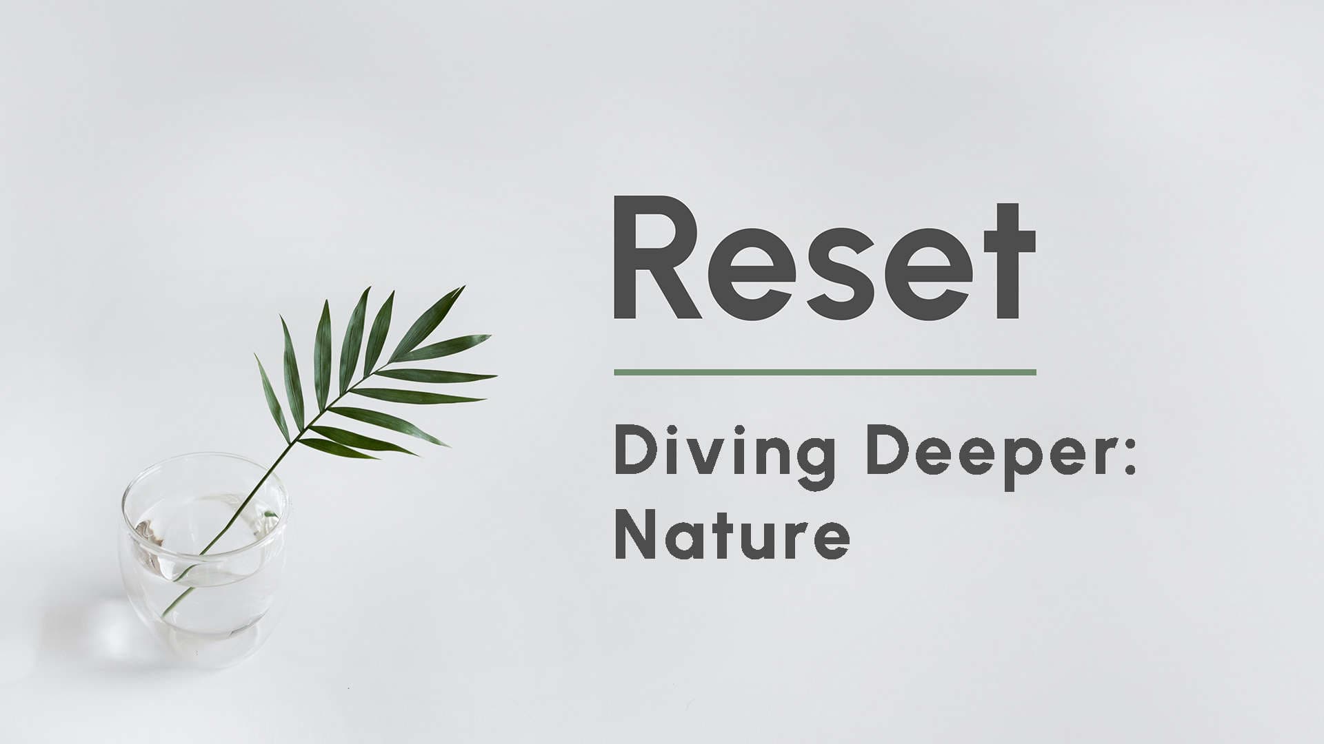 Diving Deeper | Nature